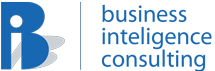 BInfo.me, Business Intelligence Consulting